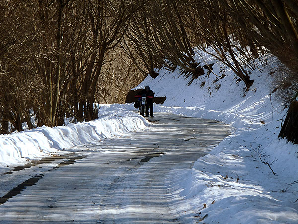ＭＡＥＤＡさん